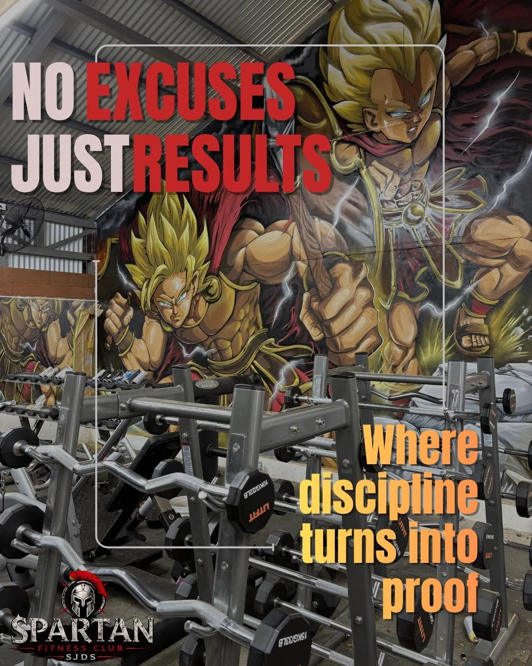 Spartan Fitness Club SJDS